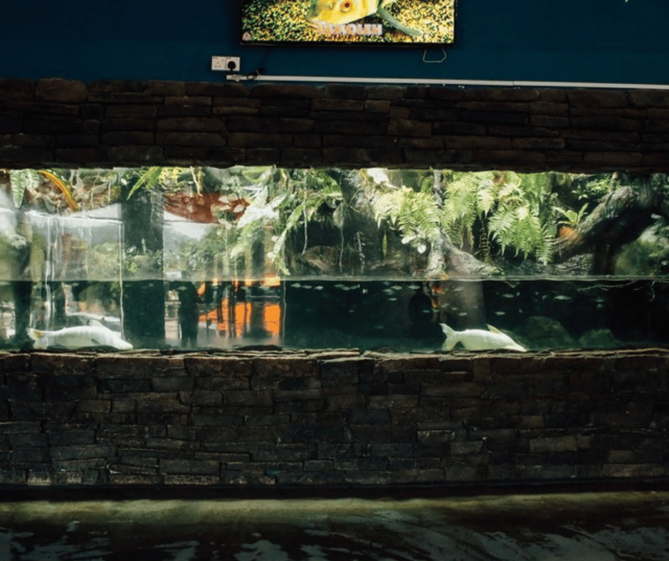 Underwater World